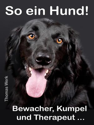 cover image of So ein Hund